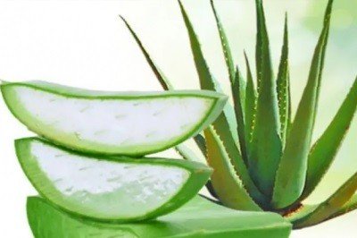 Алое вера в козметичните продукти