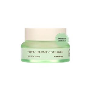 Mizon Phyto Plump Collagen Night Cream